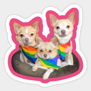 Reyes Bratpack in Rainbow Bandanas Sticker